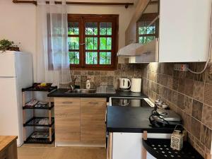 a kitchen with a sink and a refrigerator at FELINA HOUSE in Artemida