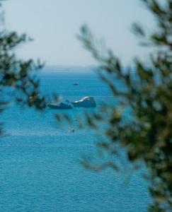 Foto dalla galleria di Maistrali Beach Studios a Gerakini