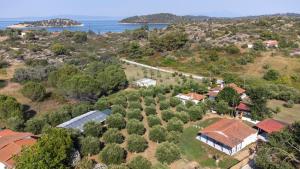 Naturlandskabet i nærheden af feriehuset