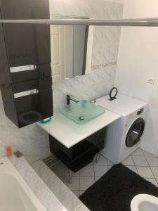 ein Badezimmer mit einem Waschbecken und einer Waschmaschine in der Unterkunft Appartement 4 personne à Rouffiac tolosan in Rouffiac-Tolosan