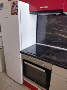 A kitchen or kitchenette at Apartment Nedyalkov