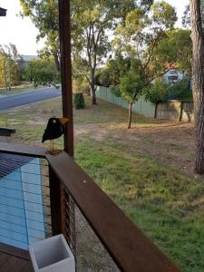 Mynd úr myndasafni af Halfway Point Brisbane and Gold Coast Themepark 15 minutes Southbank 30 minutes í Beenleigh