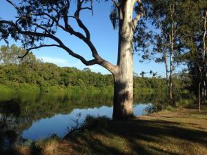 Mynd úr myndasafni af Halfway Point Brisbane and Gold Coast Themepark 15 minutes Southbank 30 minutes í Beenleigh