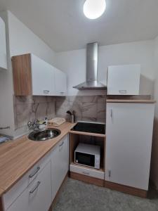 a small kitchen with a sink and a microwave at Apartment Rino in Rijeka