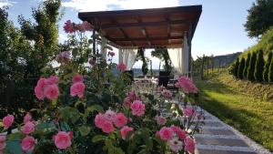 un jardín con rosas rosas y pérgola en Valentina Guest House at Pintar Wine Estate en Kojsko
