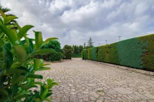 Zahrada ubytování B&B Villa Adriana