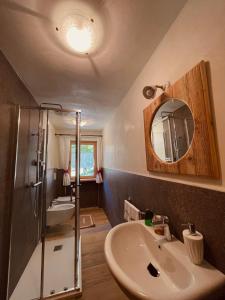 フィエーラ・ディ・プリミエーロにあるB&B Maso al Cervoのバスルーム(シンク、シャワー、鏡付)