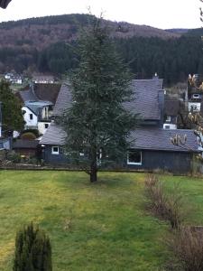 un árbol en el patio de una casa en Gemütliche Wohnung im Herzen vom Dorf en Mudersbach