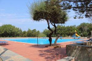 Gallery image of Casa Vacanze Fronte Piscina-Mare - PORTO ROTONDO in Porto Rotondo