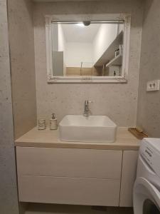 a bathroom with a white sink and a mirror at Elegant bourgeois apartment in Kamnik