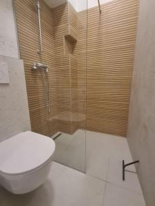 a bathroom with a toilet and a glass shower at Elegant bourgeois apartment in Kamnik
