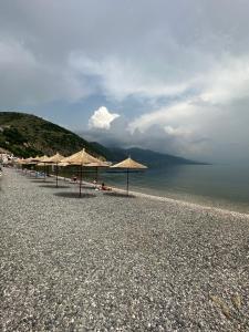 a group of umbrellas on a beach with the water at Comfort Rooms Pogradec in Pogradec