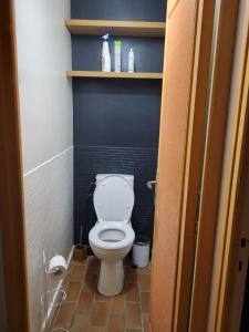 łazienka z toaletą i niebieską ścianą w obiekcie Maison verdure & calme w mieście Castries