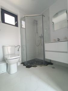 uma casa de banho com um chuveiro, um WC e um lavatório. em Tiny Village Mamaia Nord - House 2 em Mamaia Nord – Năvodari
