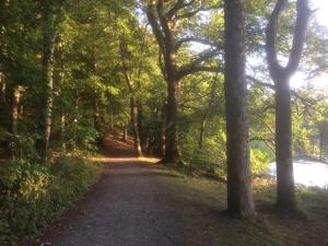 a dirt road through a forest next to a river at Ardmuir in Turriff