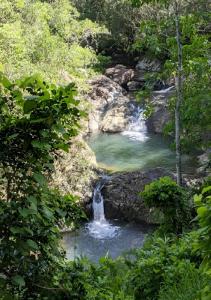 une cascade au milieu d'une piscine d'eau dans l'établissement EVASION Bungalow d'Antan Spa, à Sarraméa