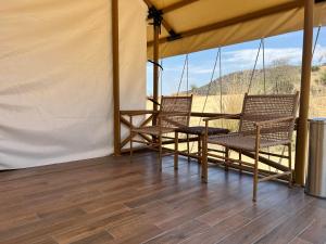 Gallery image of Teela- The Glamping Resort, Jaipur in Udāsar