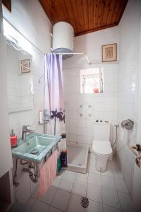 Giannádes的住宿－Maria's Vintage House，一间带水槽、卫生间和淋浴的浴室