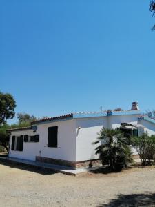 una casa blanca con una palmera delante de ella en B&B Bella Calasetta, en Calasetta