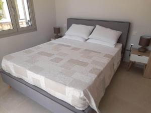 een bed met twee kussens in een slaapkamer bij Villa Elsi lower apartment in Kalámi