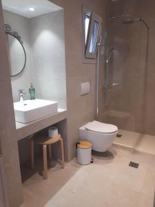 een badkamer met een wastafel, een toilet en een douche bij Villa Elsi lower apartment in Kalámi