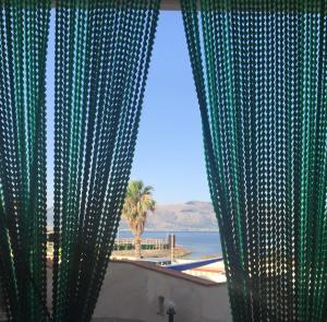 uma janela com vista para o oceano e para as palmeiras em 100 passi dal mare em Isola delle Femmine