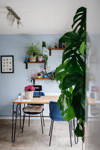 a dining room with a table and chairs and a plant at Suburban Hideaway in Suffolk in Ipswich