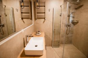 La salle de bains est pourvue d'un lavabo et d'une douche. dans l'établissement Cathedral Apartment, à Szczecin