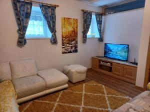 Il comprend un salon doté d'un canapé et d'une télévision à écran plat. dans l'établissement Appartamento Valmaor, à Predazzo