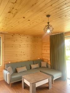 a living room with a green couch and a table at Skupis kokhebi in Mestia