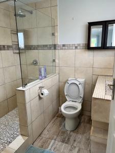 La salle de bains est pourvue de toilettes et d'une douche en verre. dans l'établissement Dux, à Montagu