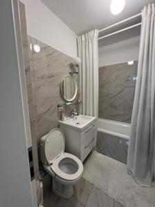 uma casa de banho com um WC, um lavatório e um espelho. em Confortabil si modern em Bucareste