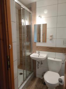 een badkamer met een toilet, een wastafel en een douche bij Bafia - pokoje gościnne in Bukowina Tatrzańska