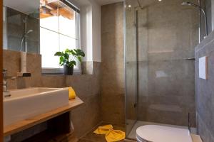 ein Bad mit einer Dusche, einem Waschbecken und einem WC in der Unterkunft Hotel-Appartement Hochkönig in Ramsau am Dachstein