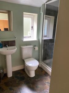 a bathroom with a toilet and a sink and a shower at Lodge 1, The Grange in Wick