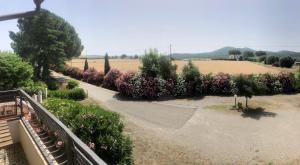 a view of a garden with pink flowers and trees at Bed and Breakfast La Marianaccia in Marsiliana