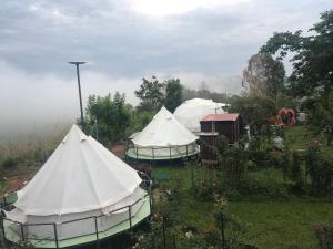 a group of three tents in a garden at สวนภูซีเขาค้อ in Ban Pa Daeng