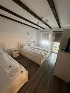 two beds in a large room with wooden floors at House Of Beyoutiful Bocsa in Bocşa