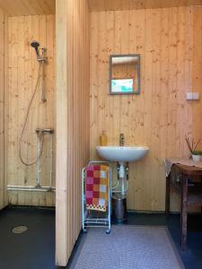 y baño con lavabo y ducha. en Suurkivi Nature Escape, en Häädemeeste
