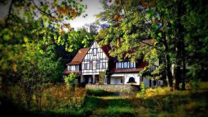 a large house in the middle of a forest at Hotel Krasnoludki in Sosnówka