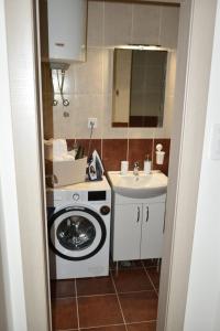 a small bathroom with a washing machine and a sink at Apartment Dimitrije in Budva