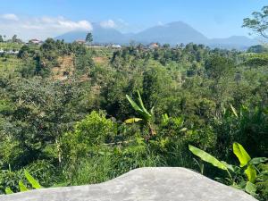 uma vista para uma floresta com montanhas ao fundo em Lembah Cinta Mayungan em Baturiti