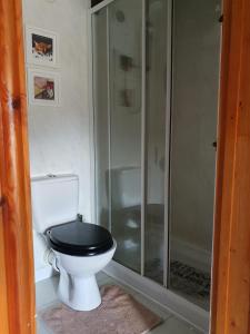 a bathroom with a toilet with a glass shower at Salutation Inn in Carmarthen