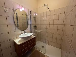 La salle de bains est pourvue d'un lavabo, d'un miroir et d'une douche. dans l'établissement CAPELAN, à Bandol