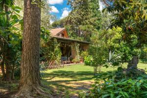 a house in the middle of a yard with trees at Appia Antica Cottage in Rome