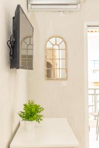 a bathroom with a mirror and a plant on a sink at Kordela studios in Nea Skioni