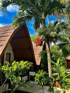 Jardin de l'établissement Gili Land