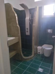 a bathroom with a shower with a toilet and a sink at Eden Ios Rooms in Mylopotas