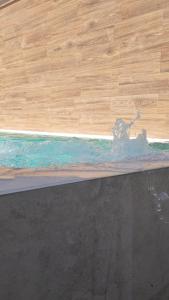 a lizard on the edge of a swimming pool at bellazaira in Ruidera
