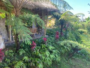 un jardín con un banco y algunas plantas y árboles en Lembah Cinta Mayungan, en Baturiti